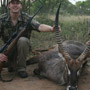 Waterbuck